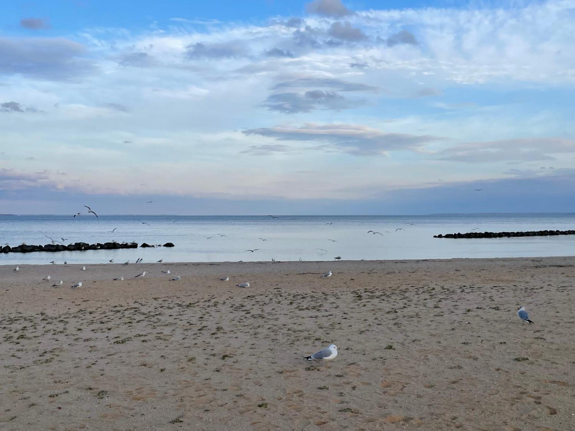 Our Happy Place In Colonial Beach Exteriör bild